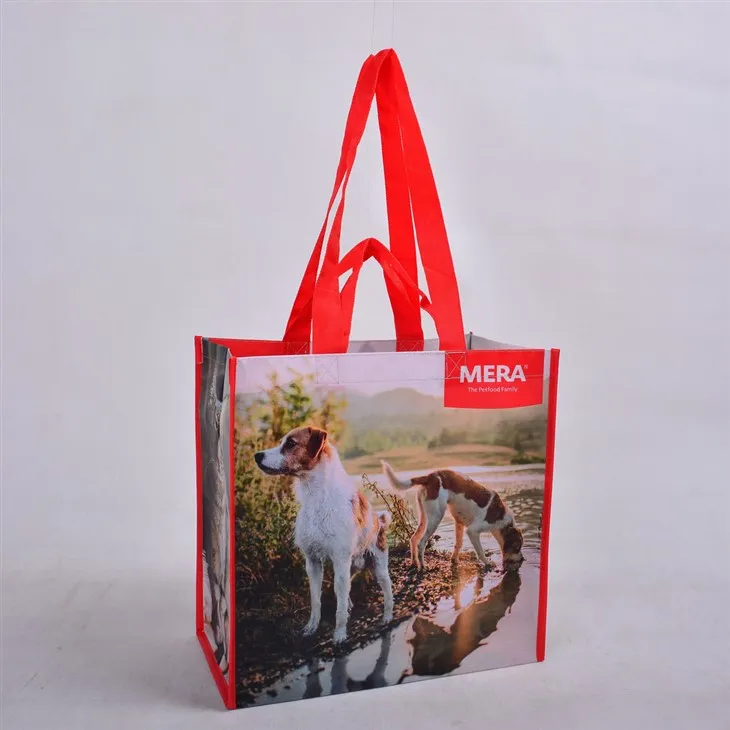 Sacs à provisions recyclées du commerce équitable