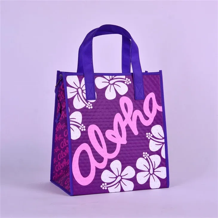 Sac à lunch fourre-tout isolé