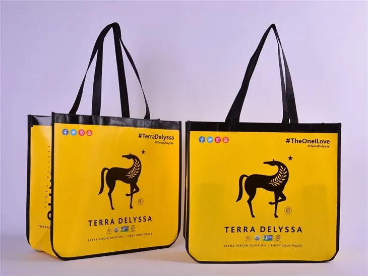 Laminated Grocery Tote