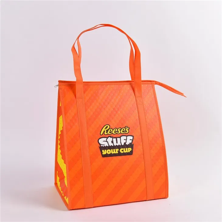 Sacs de refroidisseur thermique premium